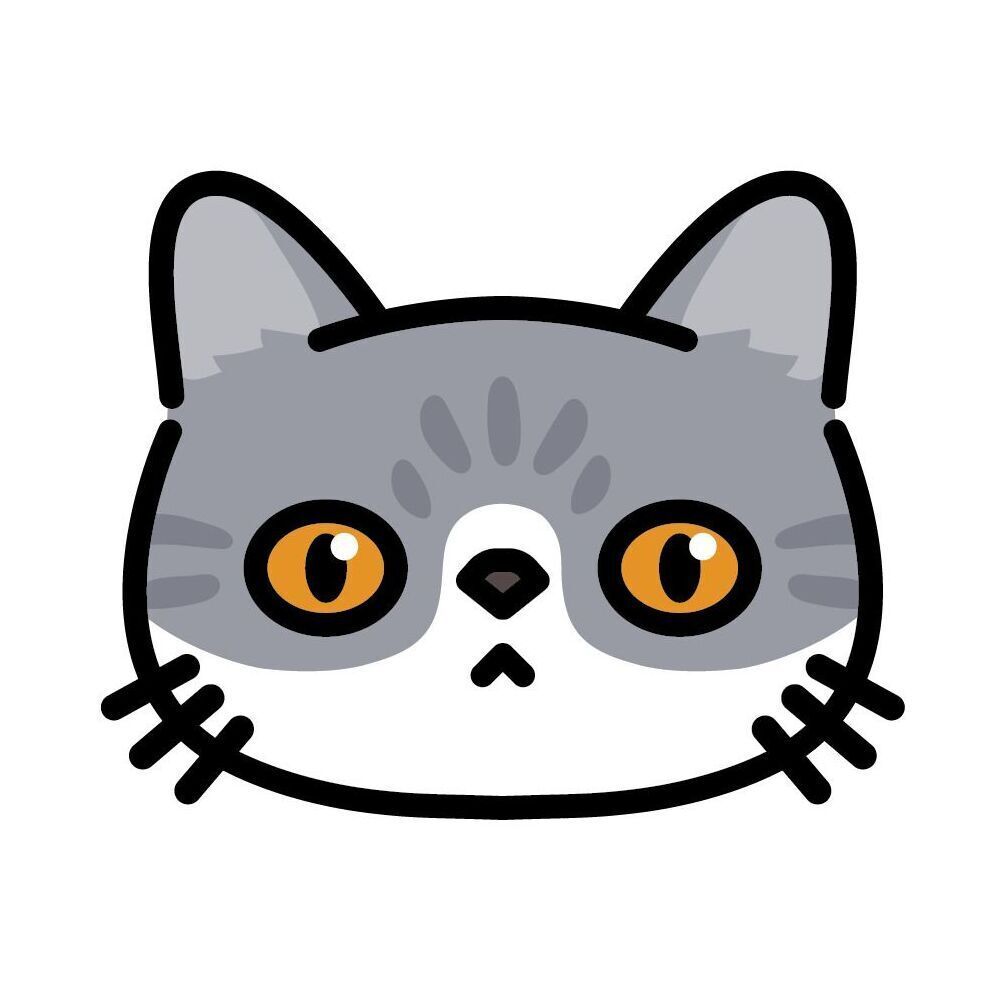 07 Exotic Shorthair