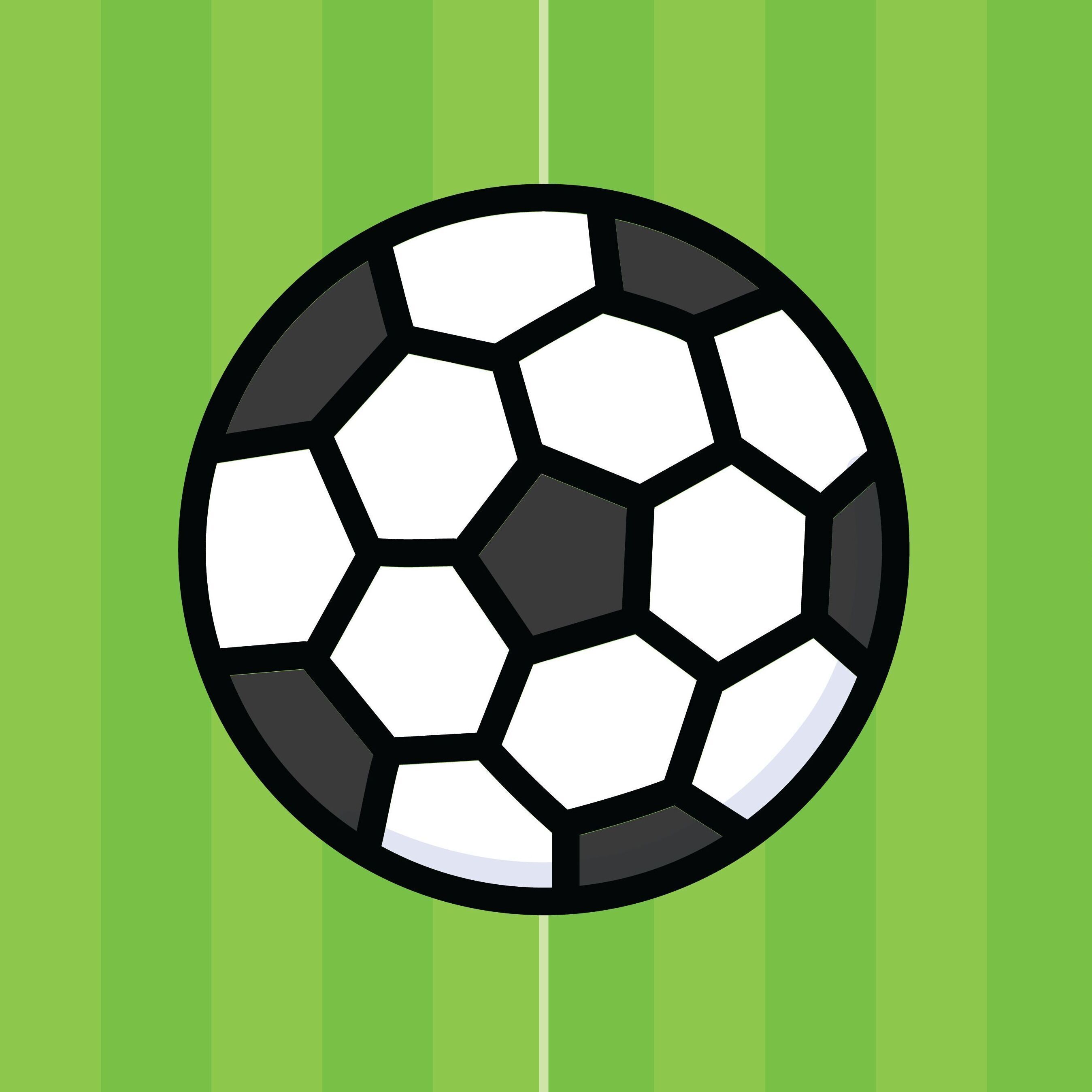 Soccer Ball (L)