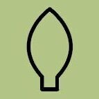 08 Leaf