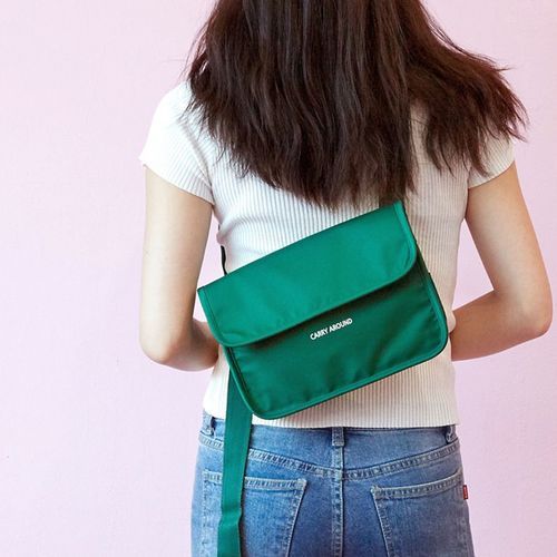 Carry Around Waist Bag