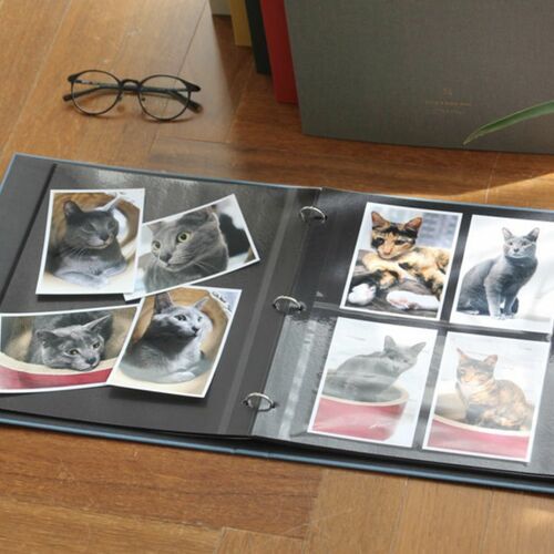 Large Daily Binder Album Refill