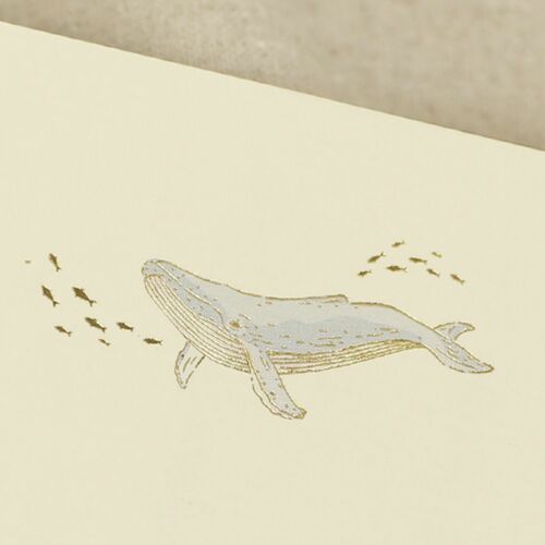 From the Sea Letter Set - Image 22
