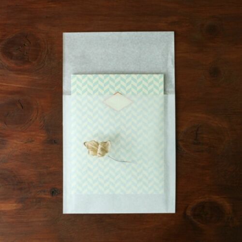 Translucent 5x7 Photo Envelope Set