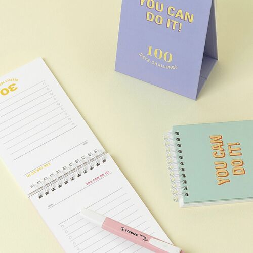 100 Days Challenge Desk Planner
