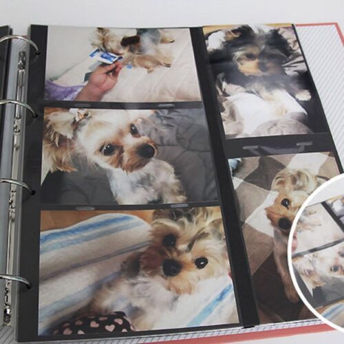Giant Plain 4 Ring Binder Photo Album - Image 17