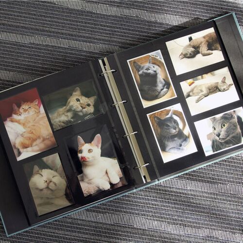 Giant Modern 4 Ring Binder Photo Album - Image 11