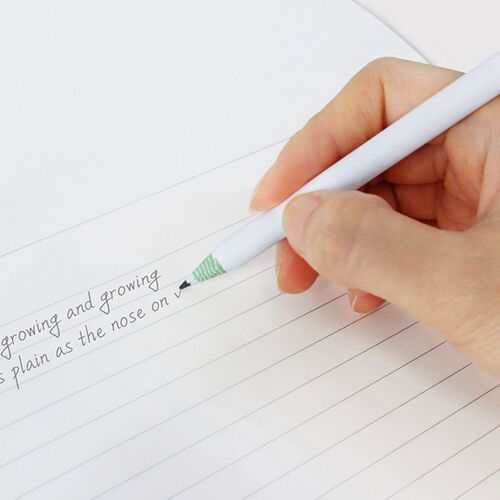 Literature Pencil & Eraser Set - Image 7