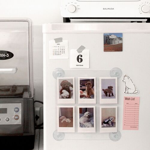 Window Attachable Instax Mini Photo 6 Pocket