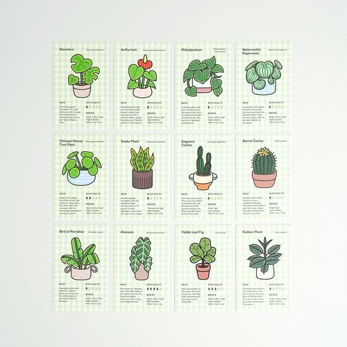 2026 Houseplant Mini Calendar Sheets - Image 5