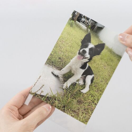 50pcs Memory Photo Pocket Set - Image 21