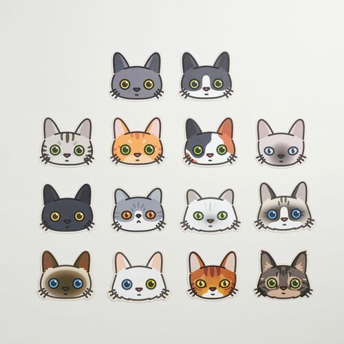 10pcs Mini Cat Face Card Set